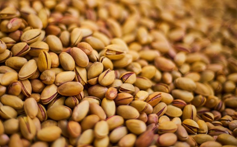 Muchos jóvenes apuestan por las plantaciones de pistachos