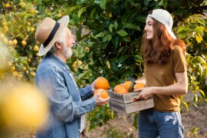 La crisis climática obliga al sector citrícola cambiar la producción de naranja